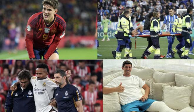 这需要郑梦 这需要郑梦