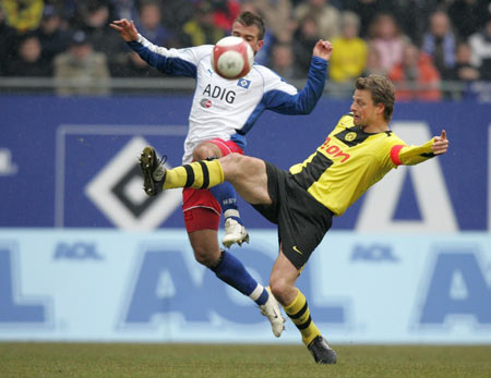 虽然森林狼 虽然森林狼